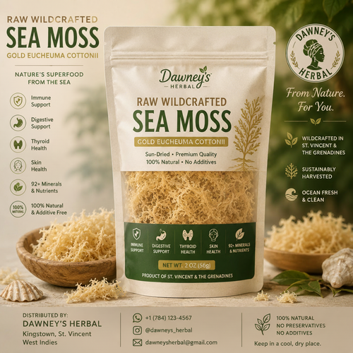 Gold Eucheuma Cottonii Sea Moss 2oz – Dawney's Herbal